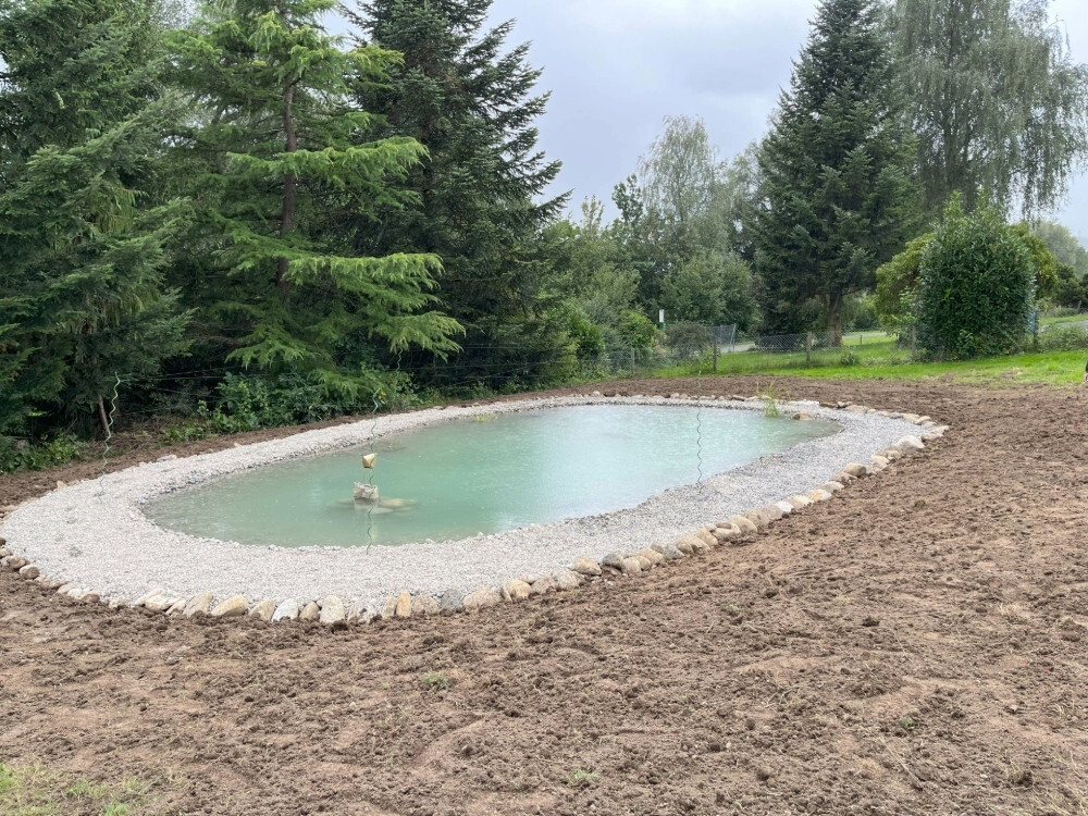 Ein Biotop für Fische und Pflanzen im Garten