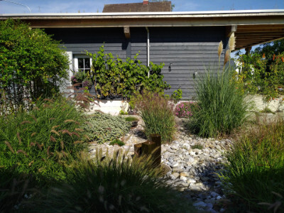 Steingarten mit Bepflanzung aus Gräsern