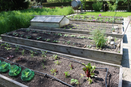 tiefes Hochbeet / Gemüsebeet  aus Holz