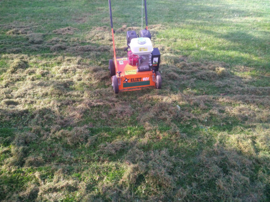 vertikutieren als Rasenpflege